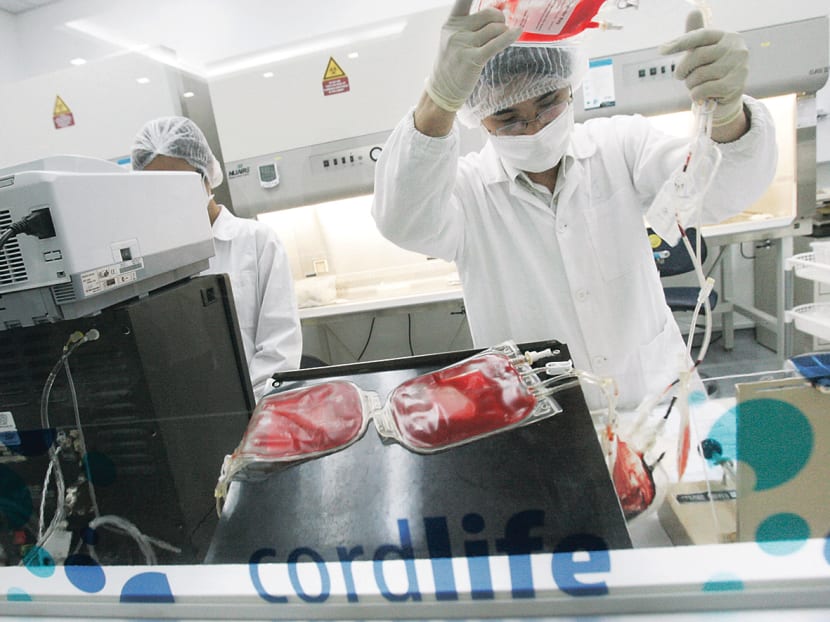 A view of a Cordlife laboratory taken in April 2008. 