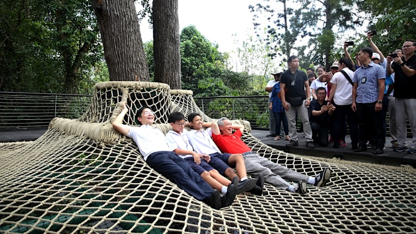 Century-old forest at Botanic Gardens opens