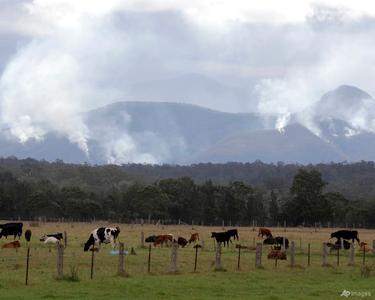 Why methane is climate's low-hanging invisible fruit