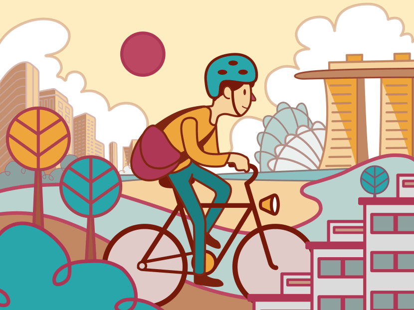 Nationwide efforts to improve the cycling infrastructure in housing estates kicked off in February 2009, with the Land Transport Authority announcing a S$43-million intra-town cycling programme, starting with five HDB towns — Yishun, Tampines, Taman Jurong, Pasir Ris, Sembawang.