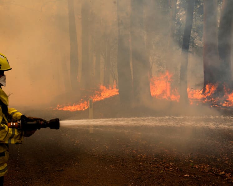 Explainer: The cause of Australia’s deadly bushfires, why they are worse this year and climate change's role