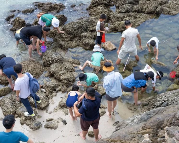 Greenpeace catches Hong Kong geopark ‘golden week’ visitors damaging marine life Greenpeace catches Hong Kong geopark ‘golden week’ visitors damaging marine life