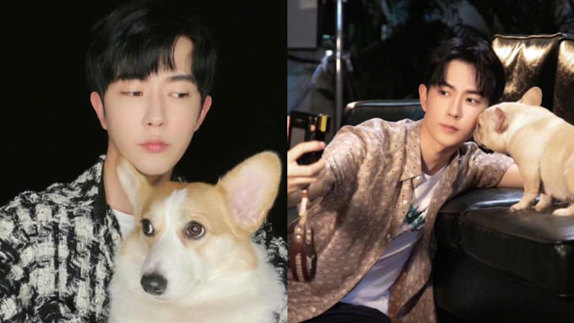 New Twist in Yu Menglong Case: Rumours Surround Deaths of His Two Dogs