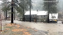 Related article image