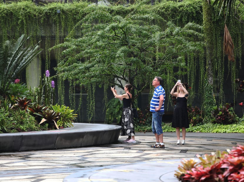 Singapore Tourism Board plans to leverage Singapore's identity as a "City in Nature", referring to the Government’s vision of creating a liveable and sustainable home for the people by increasing green spaces. Singapore Tourism Board plans to leverage Singapore's identity as a "City in Nature", referring to the Government’s vision of creating a liveable and sustainable home for the people by increasing green spaces.
