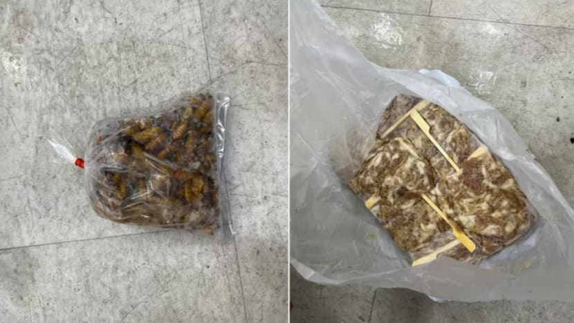 SFA rampas 300kg makanan diimport secara haram termasuk kumbang, siput SFA rampas 300kg makanan diimport secara haram termasuk kumbang, siput
