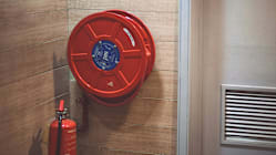 Related article image