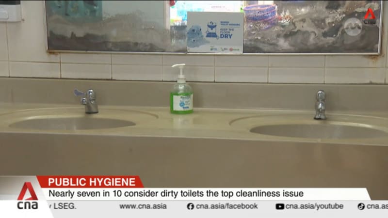 Public hygiene: 74% of survey respondents say Singapore is cleaner compared to 15 years ago 