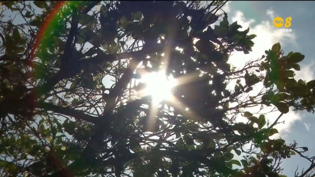 高温天气影响人们生育能力 未来可能重创各行各业