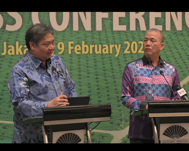 Joint mission by Indonesia, Malaysia to EU in bid to counter ‘discrimination’ against palm oil industry