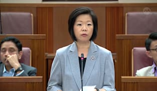 Debate on President’s speech: Sim Ann on vigilance against foreign interference 