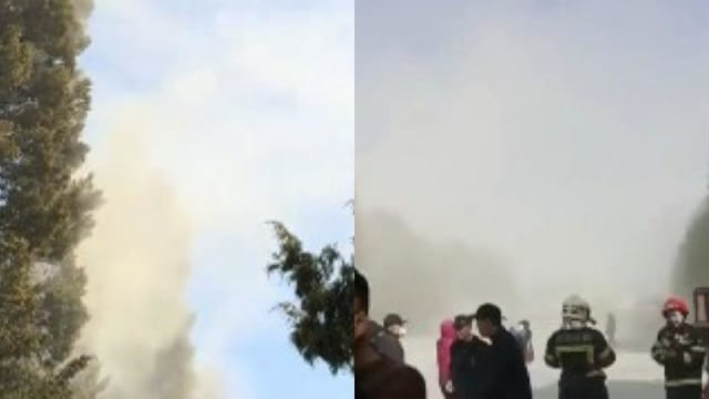 北京公园逾3万柏树释“花粉雾” 烟雾缭绕藏危机