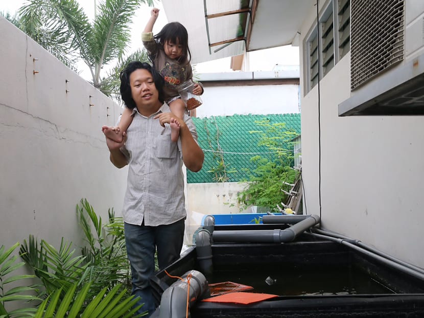 Fish farmer dreams of saving ocean Fish farmer dreams of saving ocean