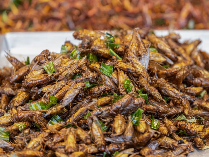 Fried crickets served at a food market. Fried crickets served at a food market.