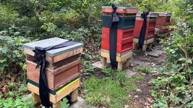 英国王室遵循当地传统 通知“它们”新王登基