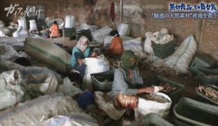 Japan Hour - Gaia Series 98: MUJI, Behind the Scenes