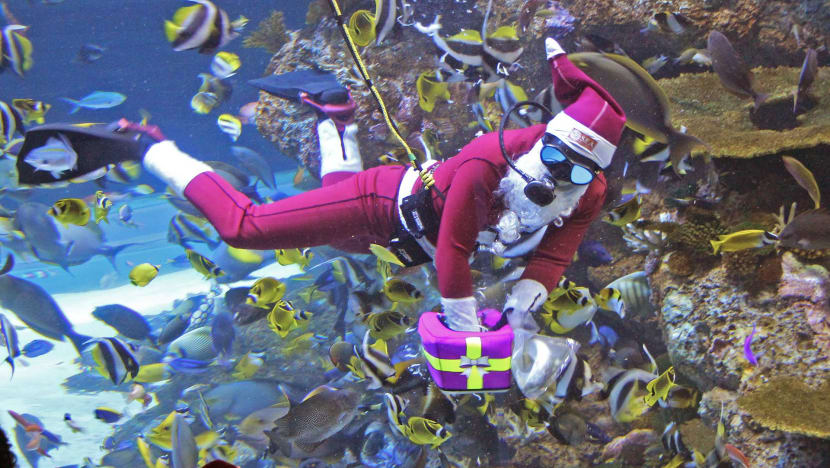 5 Festive Things To Do This Weekend (Dec 22 to 24)