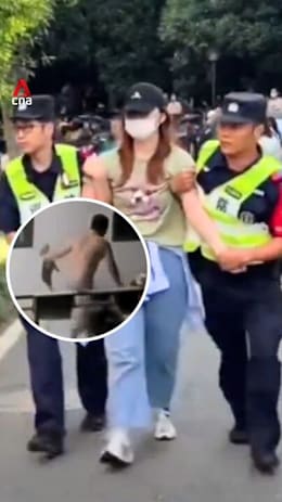 Protesters clash with police in China over alleged dog abuse