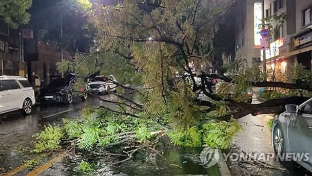 韩国多区遇强风大雨 引发淹水航班客轮停航