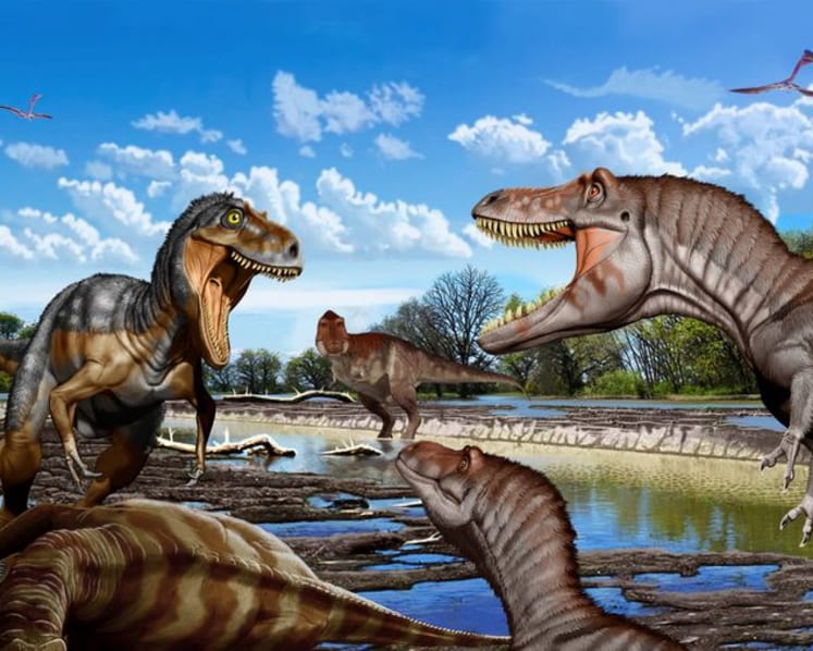 A throat bone settles it - Nanotyrannus was not a juvenile T. rex