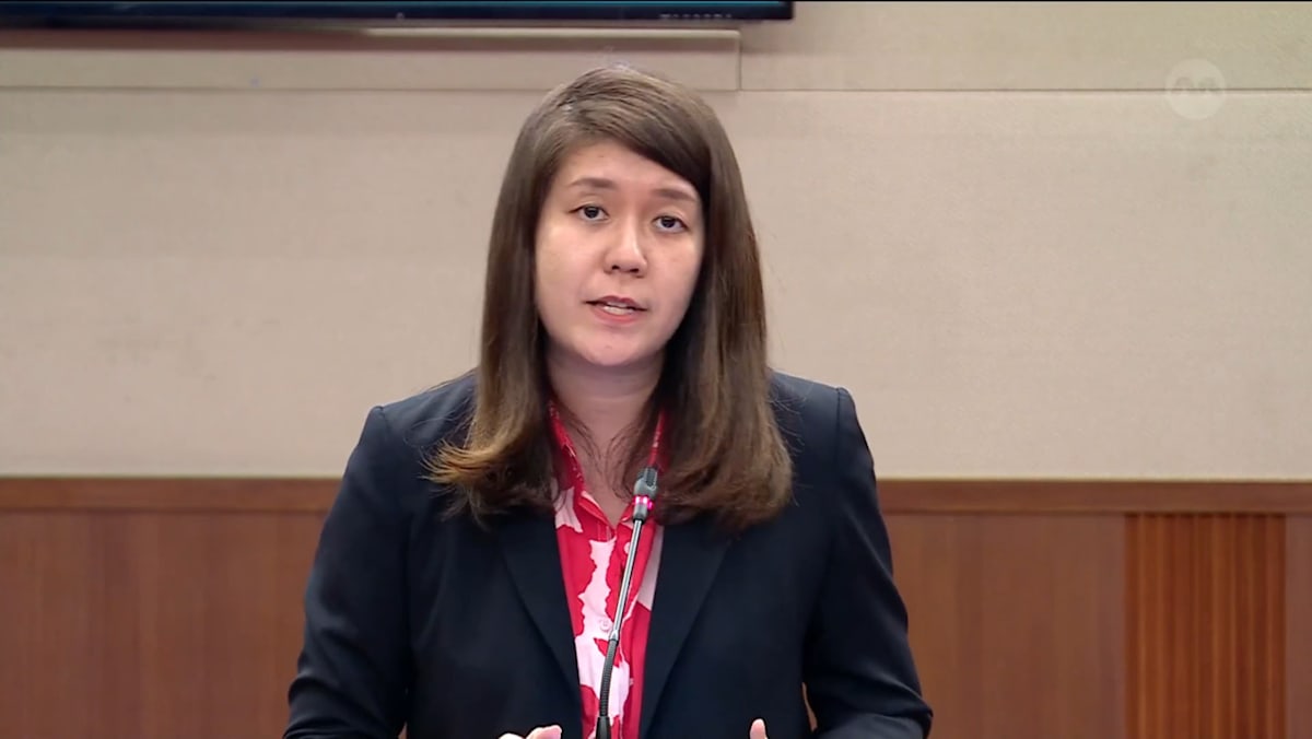Committee of Supply 2026 debate, Day 4: Lee Hui Ying on protecting ...