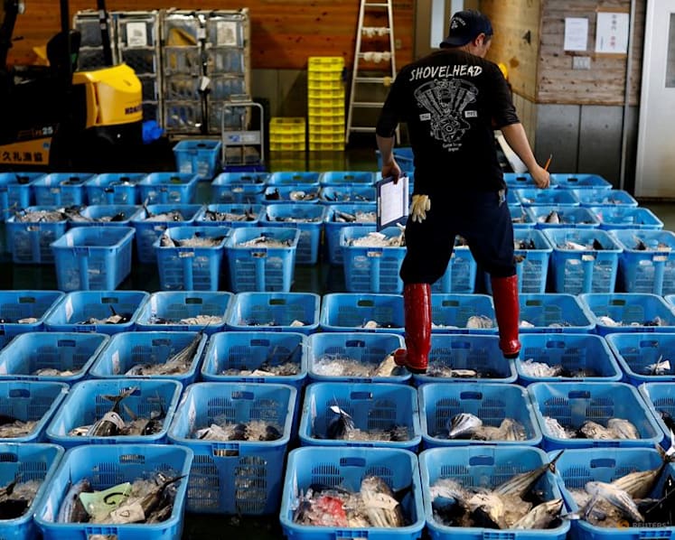 Japan's wholesale inflation remains elevated, keeps alive BOJ rate-hike view