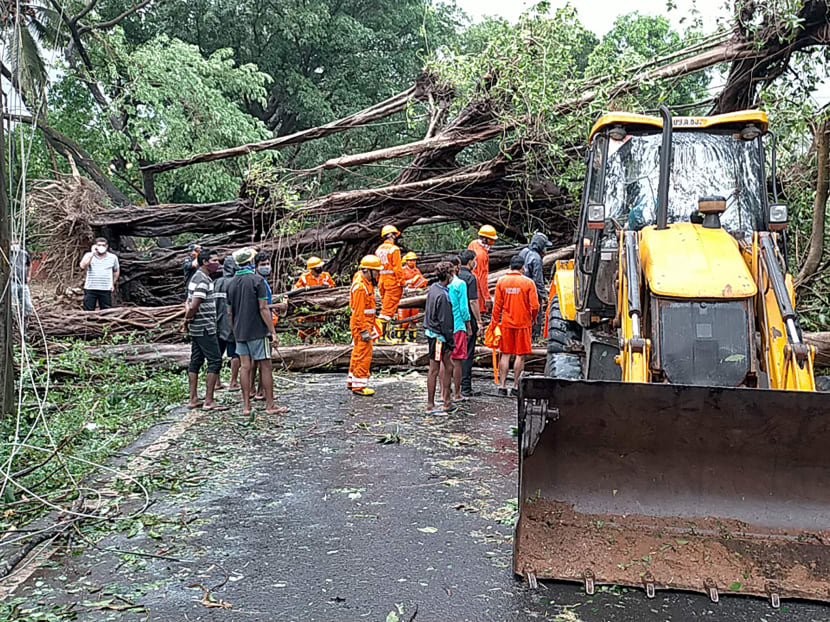 National Disaster Response Force personnel clear fallen trees from a road that were uprooted by strong winds of cyclonic storm Tauktae in Goa, India on May 16, 2021.