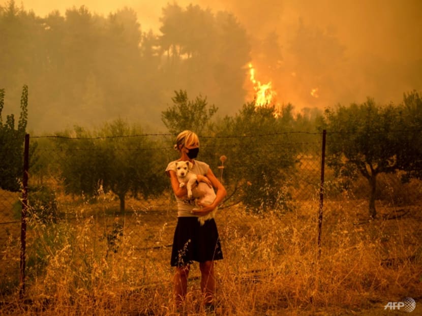 Commentary: Current adaptations to climate change won't be enough to save our planet Commentary: Current adaptations to climate change won't be enough to save our planet