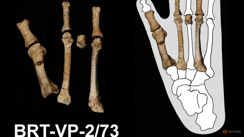 Scientists solve the mystery of the prehistoric 'Burtele Foot'
