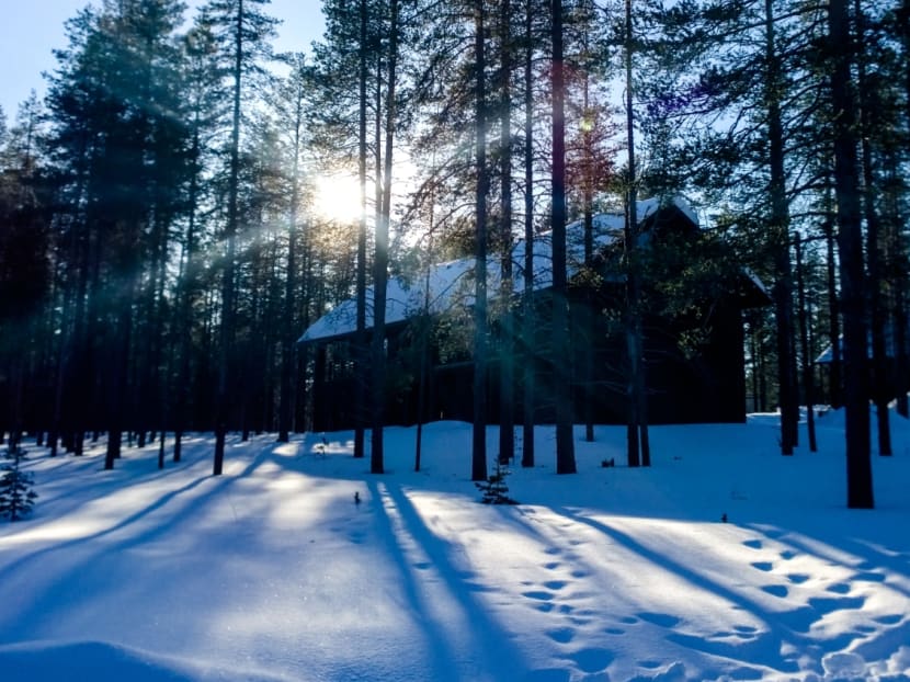 Lapland and the Northern Lights