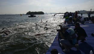 Sentosa water quality issues disrupt training sessions at World Aquatics Masters Championships