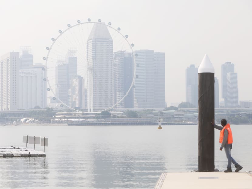 The National Environment Agency is warning that parts of Singapore will experience hazy conditions following the detection of a smoke plume in southeastern Johor.