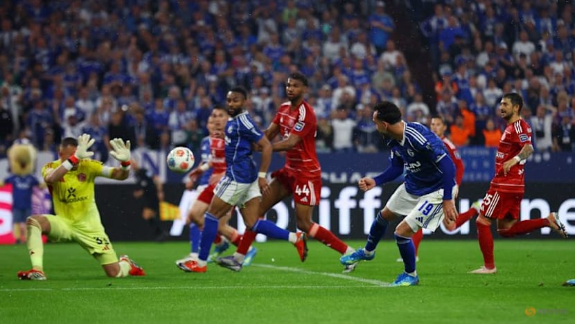Schalke earn Bundesliga promotion with 1-0 win over Duesseldorf