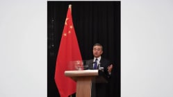 Related article image