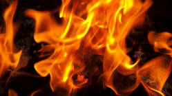 Related article image