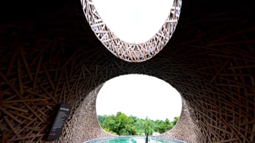 Related article image