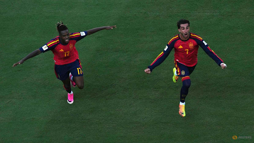 Torres strikes in extra time to put Spain ahead of 10-man Argentina in World Cup final