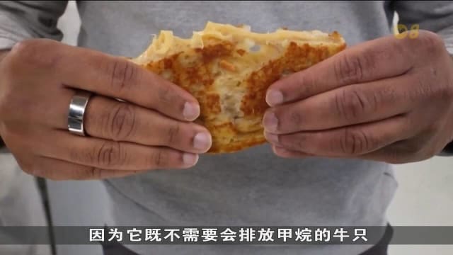 无需奶牛！英国初创公司用实验室技术培植芝士