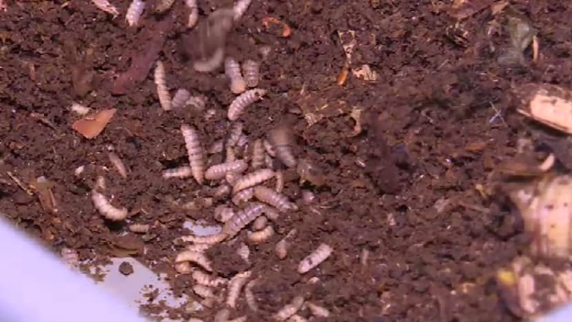 Related article image