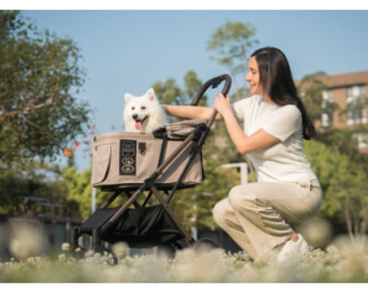 FikaGO Debuts in SoHo, Blending Pet Stroller with Modern Lifestyle Design