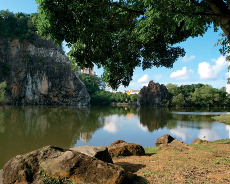 Teenager charged with fishing illegally at Bukit Batok Town Park without mask or social distancing