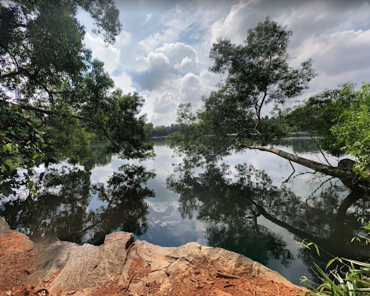 Search ongoing for off-duty NSF firefighter missing in Pulau Ubin