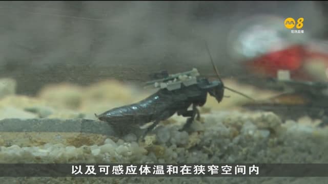 我国将持续加强同业者的合作 善用尖端创新国土安全科技
