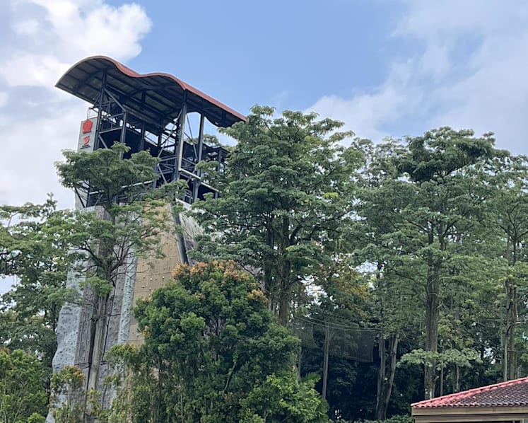 Outdoor adventure firm Camelot charged over lapses that caused ACS(I) student’s death during rope course