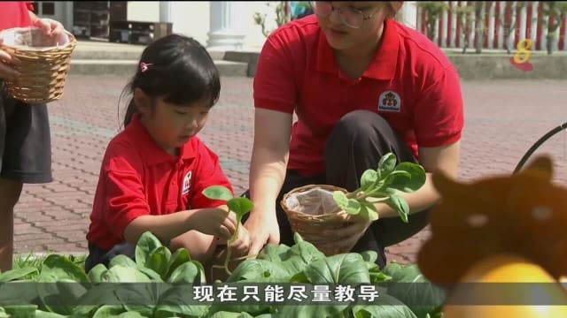更多幼稚园让小朋友接触再循环 为零废弃尽力