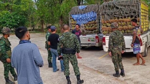 越南榴梿走私进泰国 冒充泰榴梿出口中国