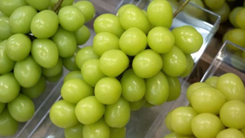 Anggur Shine Muscat dijual di SG selamat untuk dimakan: SFA Anggur Shine Muscat dijual di SG selamat untuk dimakan: SFA