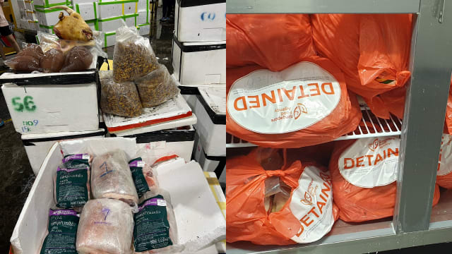 食品局起获近七公吨从泰缅非法进口食品