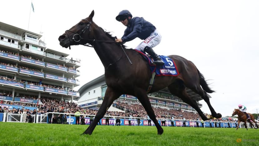 Horse racing-Lambourn wins Epsom Derby for O'Brien Horse racing-Lambourn wins Epsom Derby for O'Brien