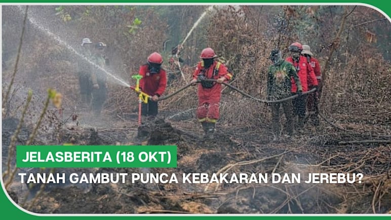 jelasBERITA (18 Okt) | Tanah gambut punca kebakaran dan jerebu?